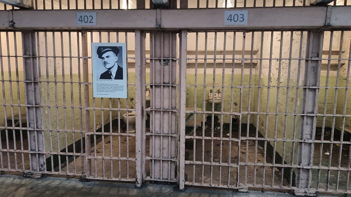 Alcatraz tour and 1-day bike rental