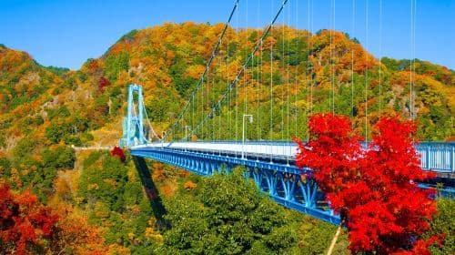 Ibaraki Autumn Special: Hitachi Seaside Park, Fukuroda Falls and Ryujin Suspension Bridge (From Tokyo Japan)