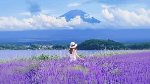 Iconic Fuji Adventure: Kawaguchiko, Stairway Town & Instagram Hotspots