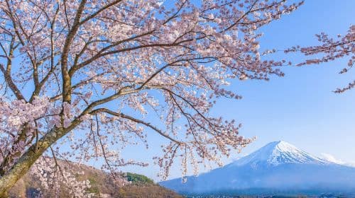 Avventura iconica sul Monte Fuji: Kawaguchiko, la città della scalinata e luoghi imperdibili per Instagram