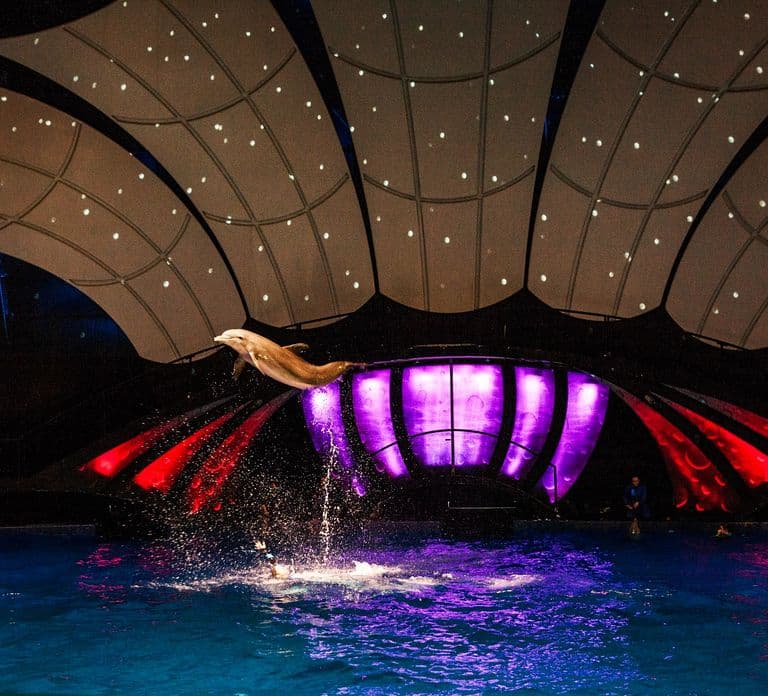 Atlanta: Biglietto d'ingresso salta-fila per il Georgia Aquarium