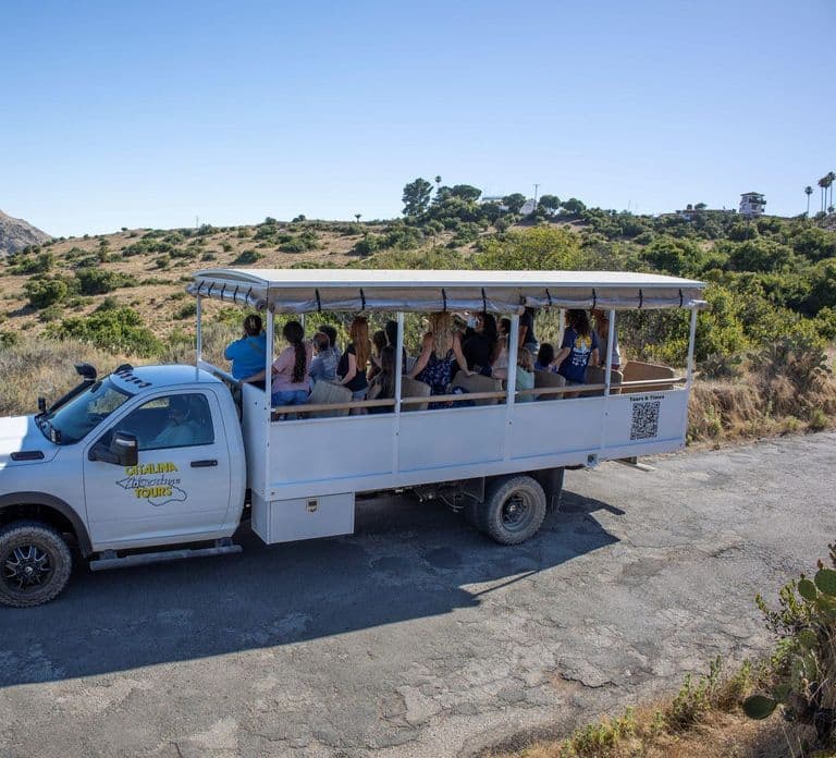 Avalon, Catalina Island: Excursão de 2 Horas pelo Interior
