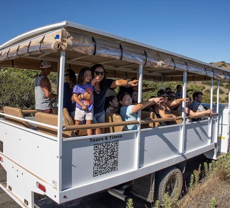 Avalon, Catalina Island: Excursão de 2 Horas pelo Interior
