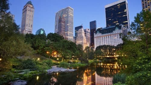 Best of Central Park: Top-Rated Pedicab Tour NYC Day Tours