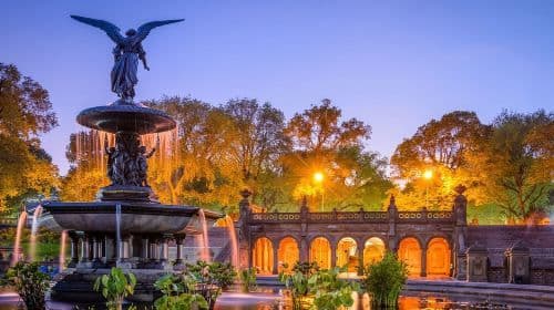 Best of Central Park: Top-Rated Pedicab Tour NYC Day Tours