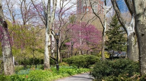 Odkryj NYC: Pakiet ponad 6 samodzielnych pieszych wycieczek audio