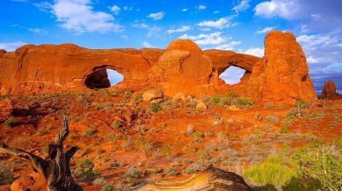 Scopri il meglio di Moab in un giorno: tour giornalieri di Arches, Canyonlands e Dead Horse