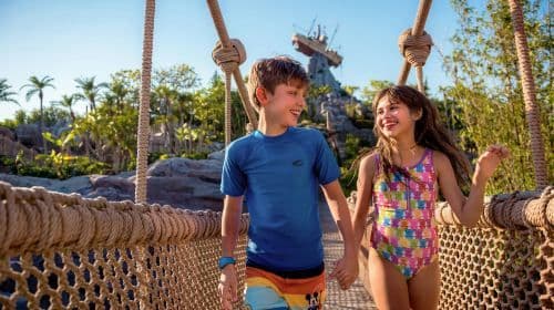 Disney's Typhoon Lagoon Water Park: Entry Ticket