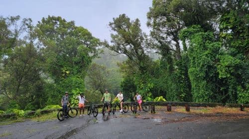 E-BIKE Honolulu Rainforest: 10 millas de sonrisas con vistas épicas - Tours de día