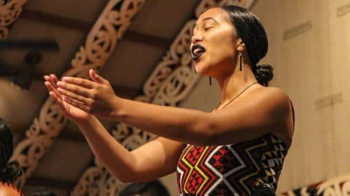 From Hilo: Polynesian Cultural Center & Pearl Harbor Tour Day Tours