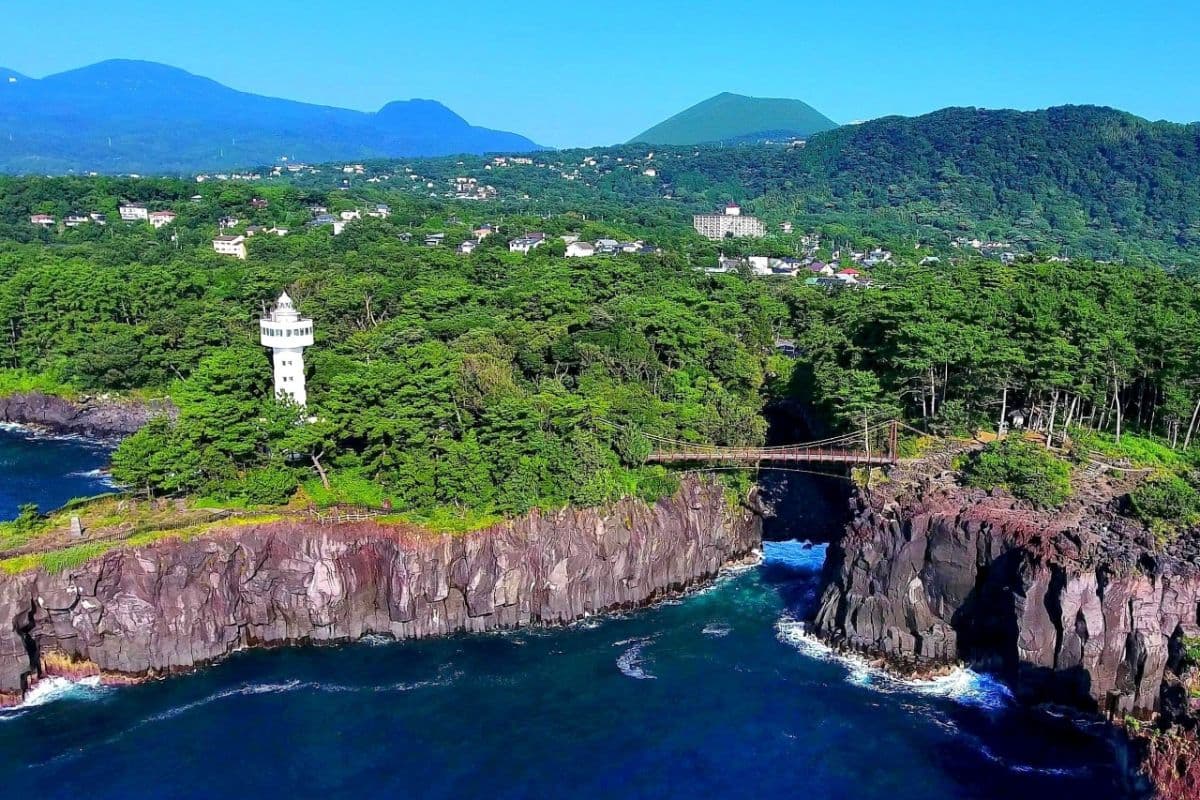 Izu Jogasaki Coast, Mt. Omuro en Sea View Train dagtour in kleine groep | Tokio