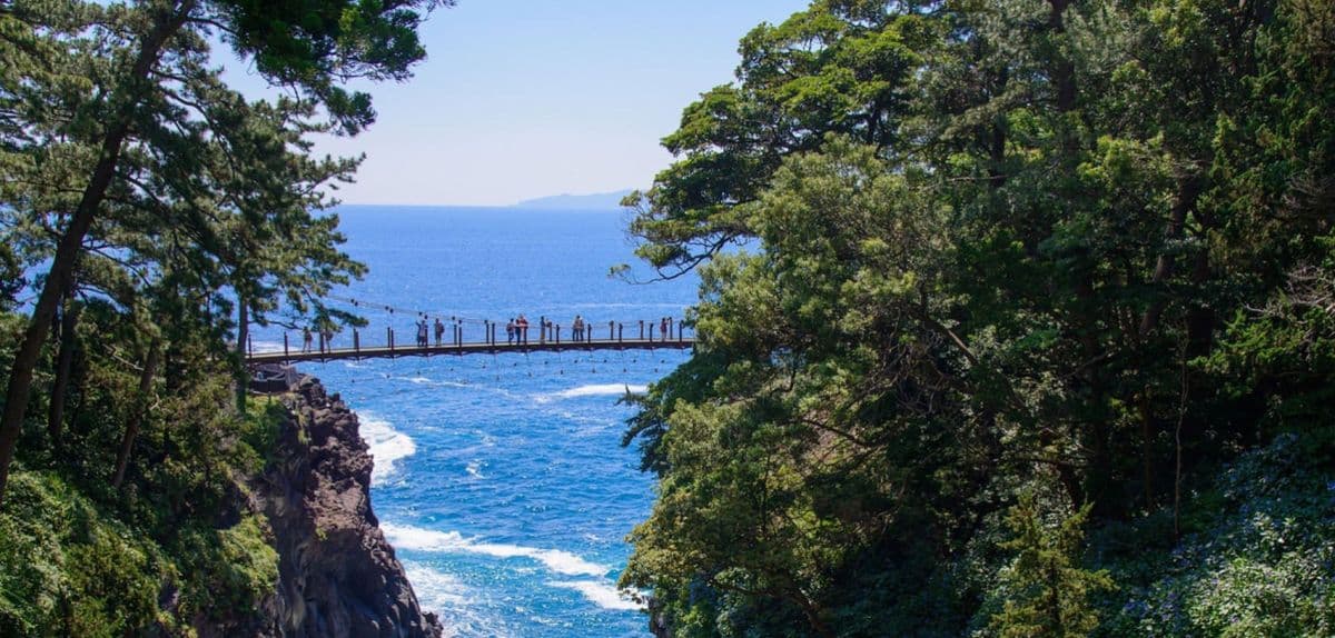Izu Jogasaki Coast, Mt. Omuro, and Sea View Train Small Group Day Tour | Tokyo
