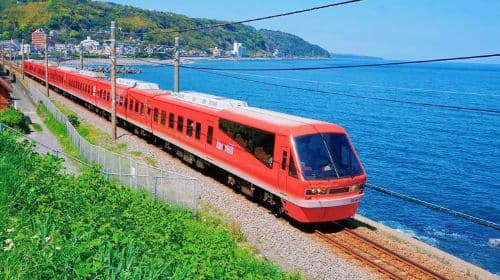 Izu Land, Sea & Air 9-Person Small Group 1-day Tour: Free Ocean View Train + Jogasaki Coast + Mt. Omuro Day Tours