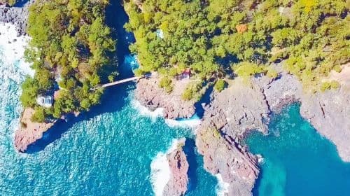 Izu Land, Sea & Air 9-Person Small Group 1-day Tour: Free Ocean View Train + Jogasaki Coast + Mt. Omuro Day Tours