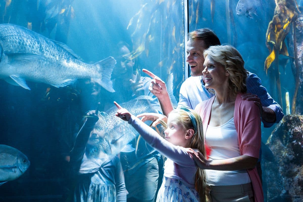 Go City: Chicago All-Inclusive Pass