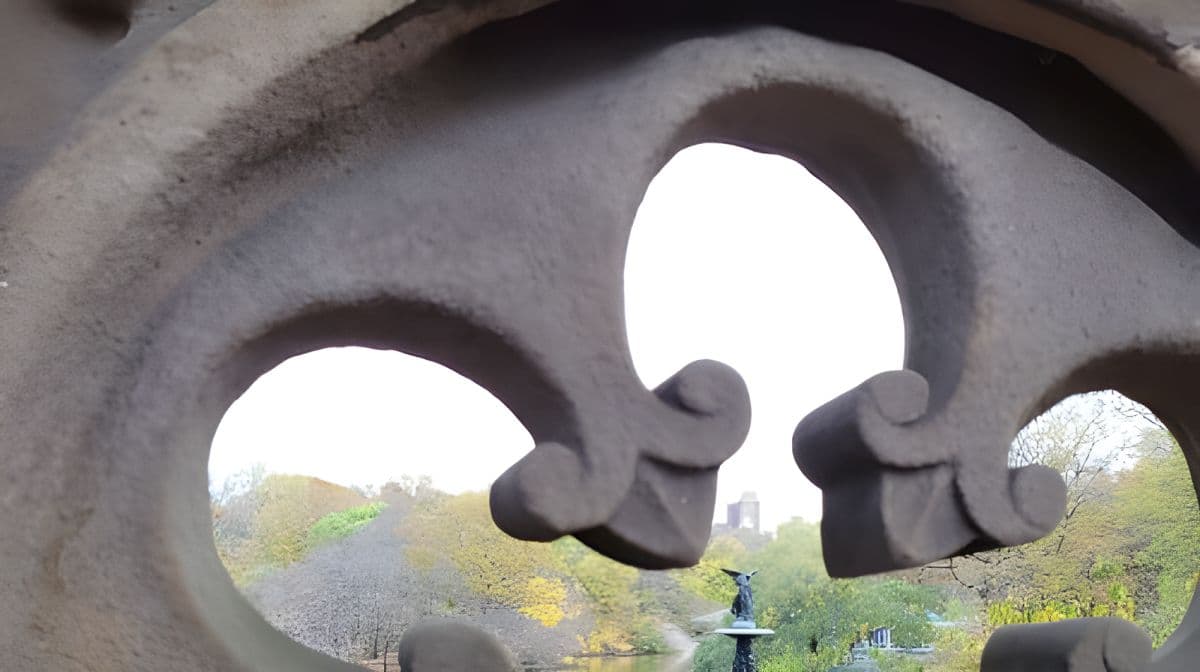 Central Park 導覽人力車之旅