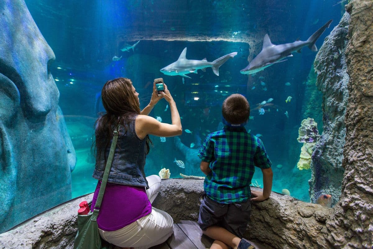Go City: Orlando Explorer Pass