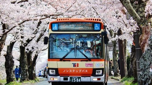 Izu Tokai Bus Free Ride Pass