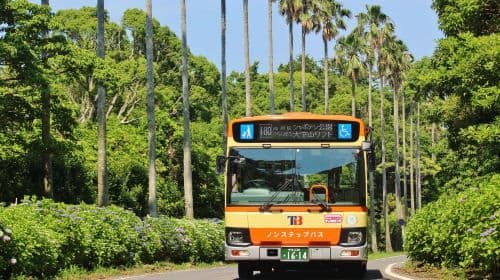 Izu Tokai Bus Free Ride Pass