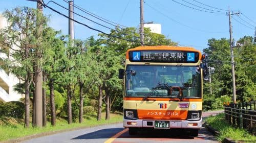 Izu Tokai Bus Free Ride Pass