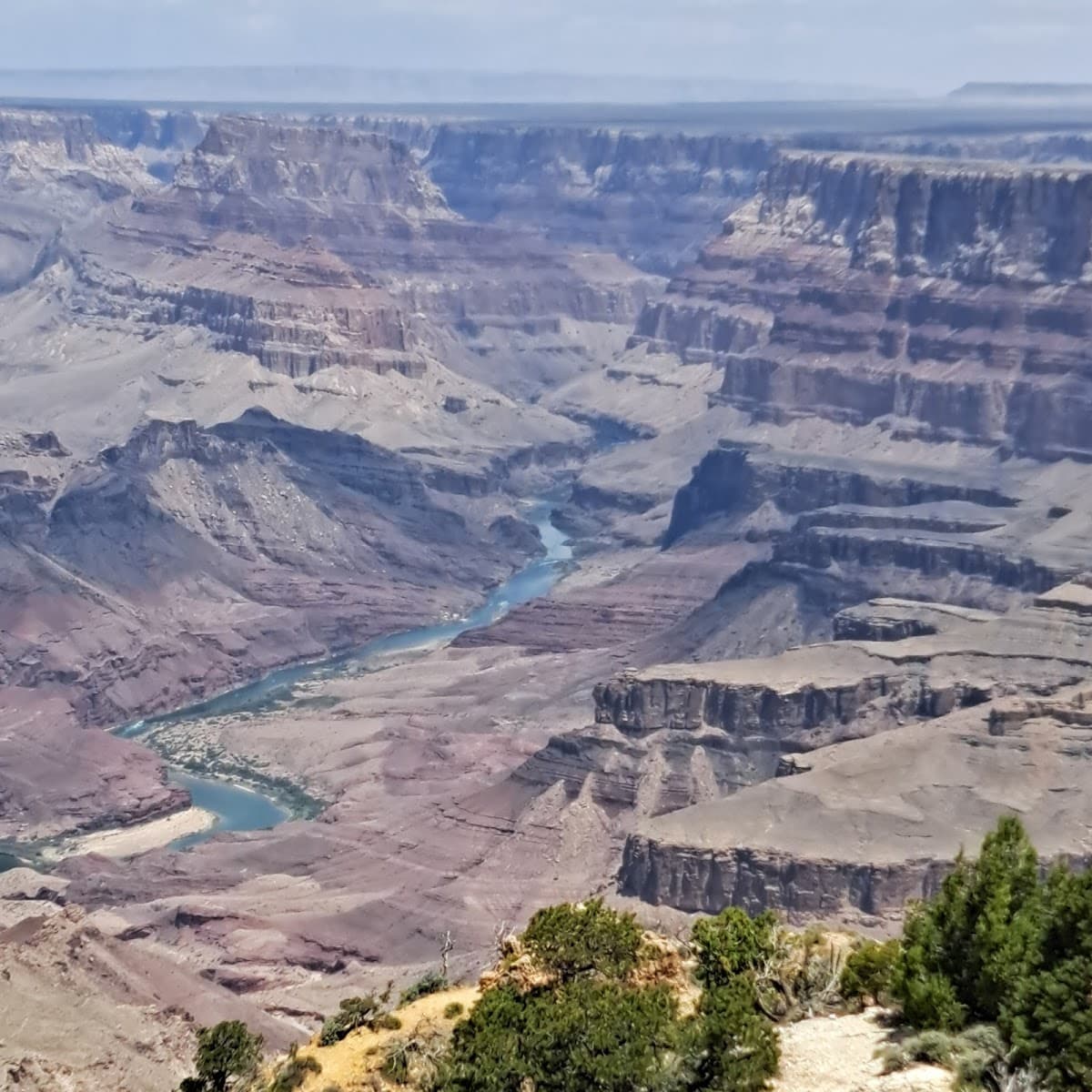 Grand Canyon South Rim Bus Tour