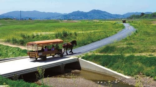 Japan Arashiyama Kyoto Horse Carriage Experience + Sagano Train + Hozugawa Rafting Tickets Included one-day tour Day Tours