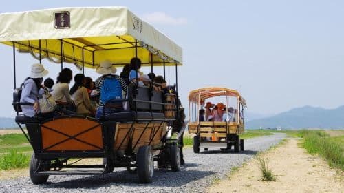 Expérience en calèche à Arashiyama Kyoto + Train Sagano + Billets pour le rafting sur la rivière Hozugawa inclus - Excursion d'une journée