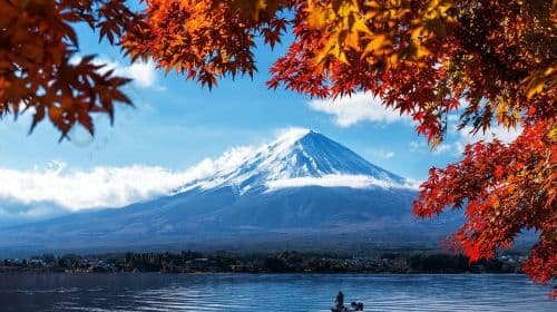 Japan Bus Ticket - Tokyo to Fuji-Q Highland Round-trip Bus Ticket via Lake Kawaguchi Transport Passes