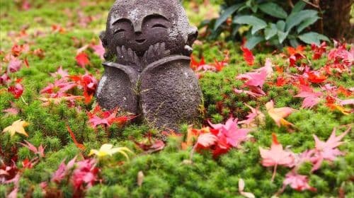 Japan Discovery Tour