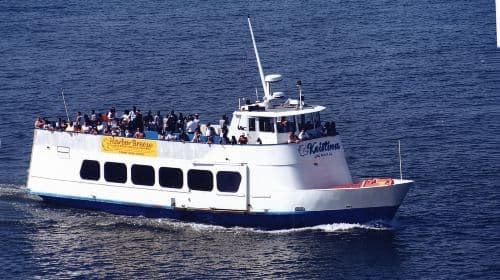 Long Beach: Sightseeing Harbor Cruise Day Tours