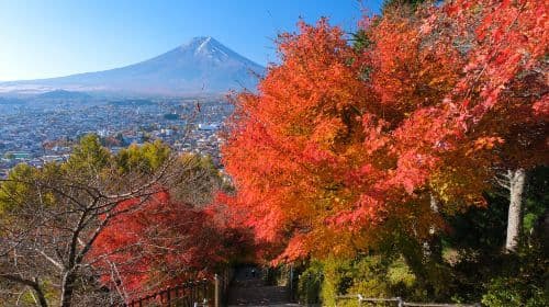 Japan Mt. Fuji 5th Station Climbing Experience, Strolling through Oshino Hakkai, and Hot Spring Experience Healing one-day tour