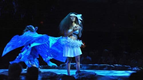 Manor House Experience