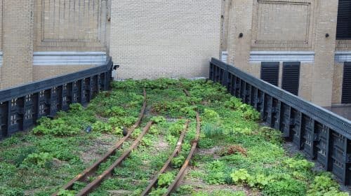Meatpacking District: Chelsea Market e The Highline Tour Day Tours