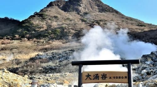 Japan Hakone Ropeway/Pirate Ship + Enoshima + Owakudani + Lake Ashi 1일 투어 Day Tours
