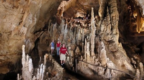 Natural Bridge Caverns: Hidden Wonders Tour Dagtochten