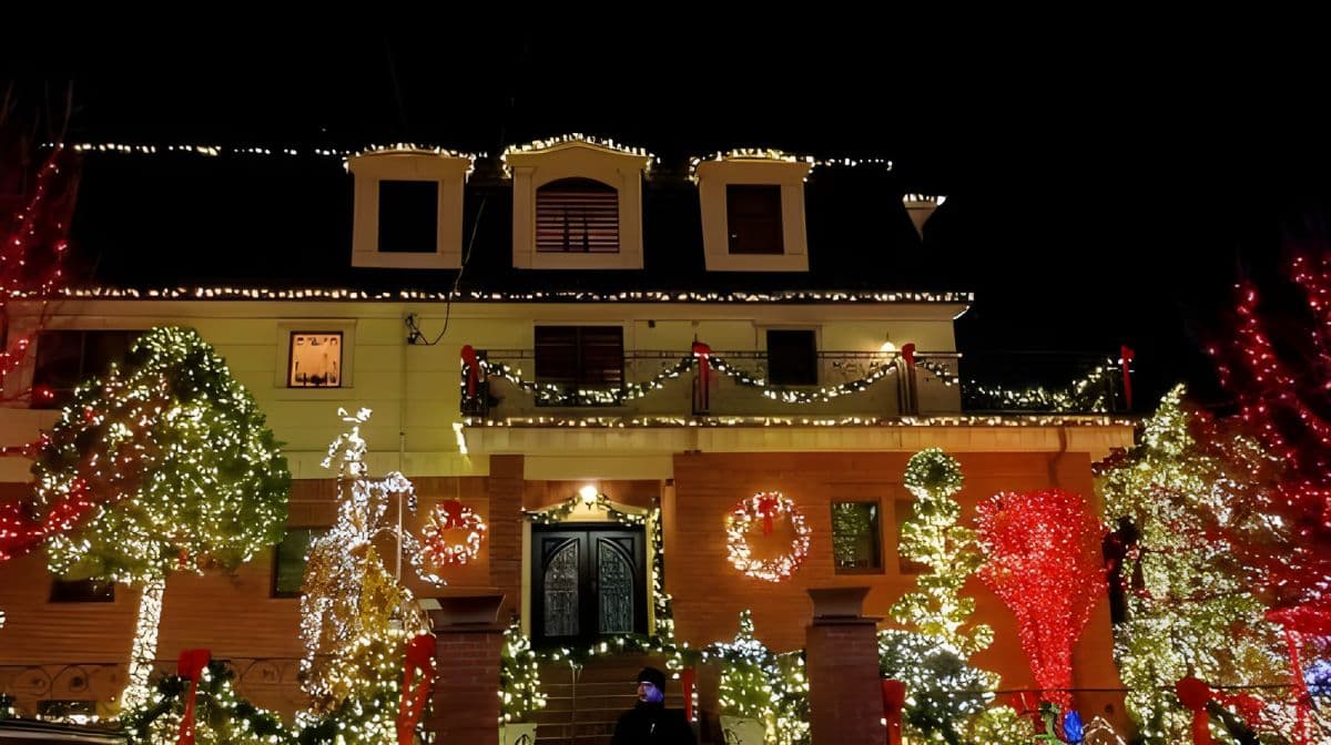 New York City Christmas Charm: Dyker Heights, South Street Seaport, Vessel Day Tours