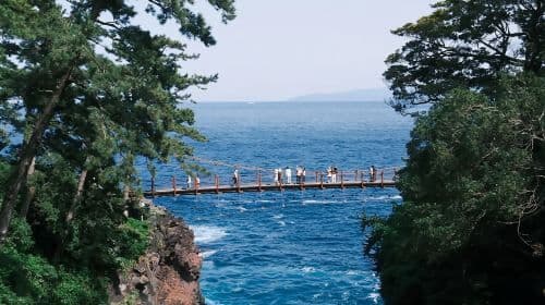 Japan Izu Jogasaki Coast + Mt. Omuro + Sea View Train one-day tour|Optional small group of 9 people Day Tours