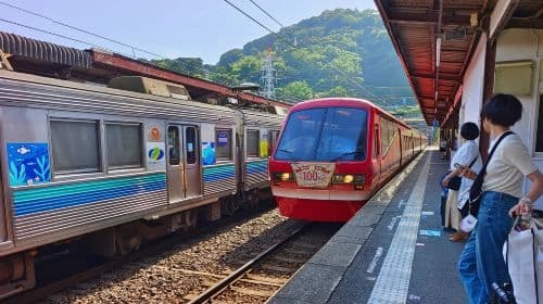 Japan Izu Jogasaki Coast + Mt. Omuro + Sea View Train one-day tour|Optional small group of 9 people Day Tours