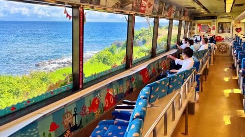 Japan Izu Jogasaki Coast + Mt. Omuro + Sea View Train one-day tour|Optional small group of 9 people Day Tours