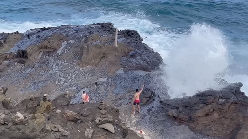 Next Level Oahu Circle Island Tour Snorkel w/Turtles and Byodo-In Day Tours