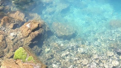 Jednodniowa wycieczka: Japonia, Kitakyushu, Yamaguchi, jaskinia Akiyoshido + chram Motonosumi + most Tsunoshima