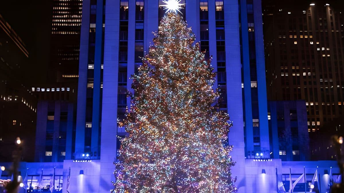 NYC Festive Magic: Christmas Lights Experience