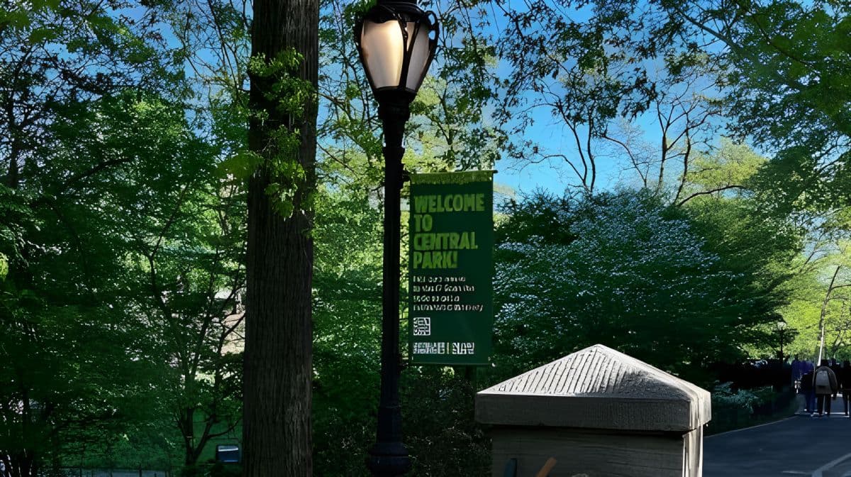 纽约：Central Park Zoo 与 Central Park 导览徒步游