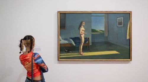 NYC: Whitney Museum Ticket Dagtochten