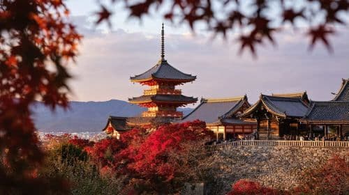 Jednodniowa wycieczka: Świątynia Kiyomizu-dera + Chram Yasaka + Park Nara + Chram Fushimi Inari