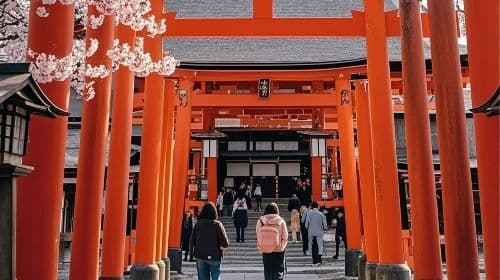 Japan Kyoto Kiyomizu-dera Temple + Yasaka Shrine + Nara Park + Fushimi Inari Shrine One-Day Tour Day Tours