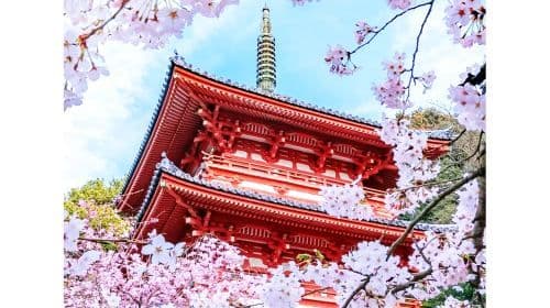 Japan Kyoto Kiyomizu-dera Temple + Yasaka Shrine + Nara Park + Fushimi Inari Shrine One-Day Tour Day Tours