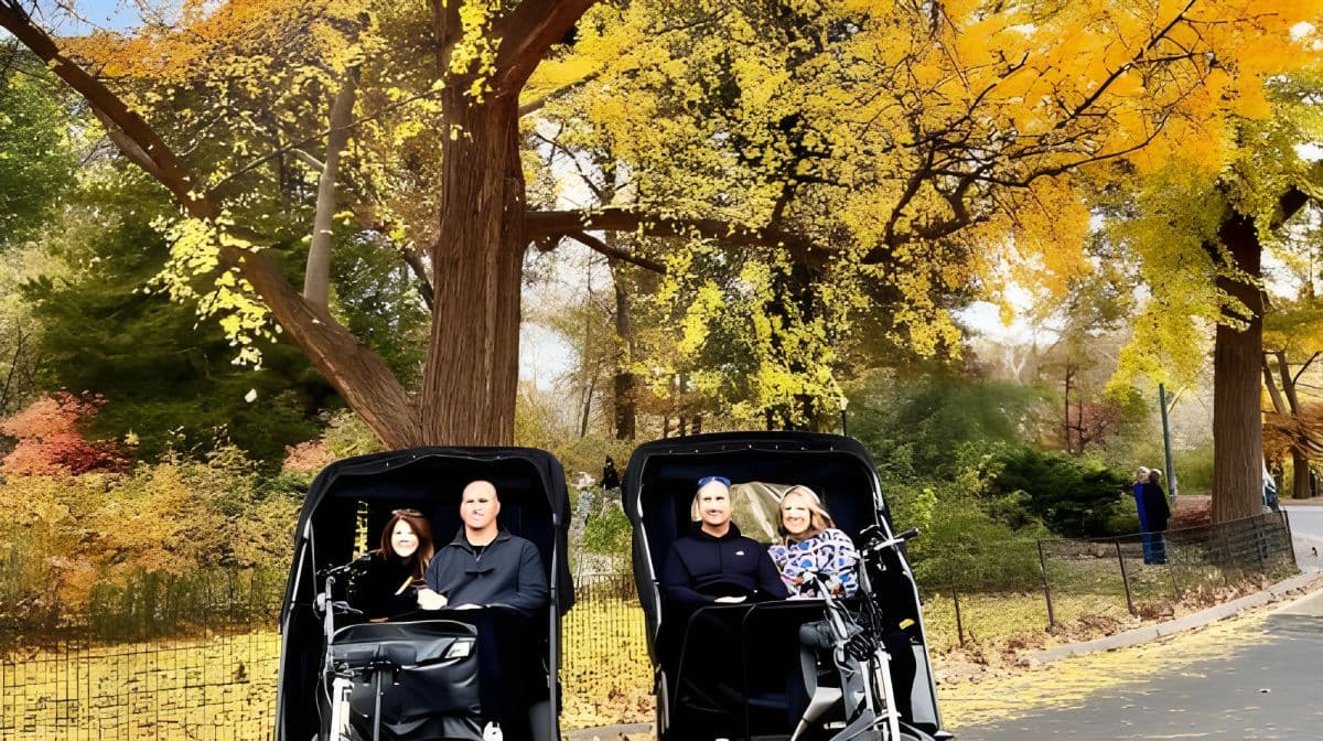 Official Pedicab Guided & Private Tours in Central Park Day Tours