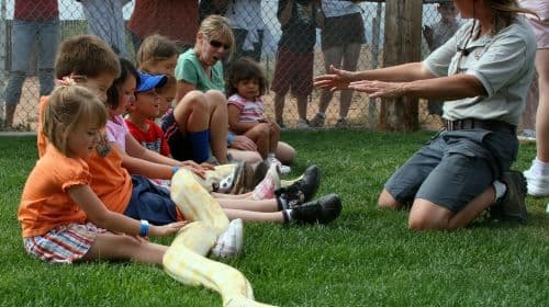 Out of Africa Wildlife Park: Toegangsticket