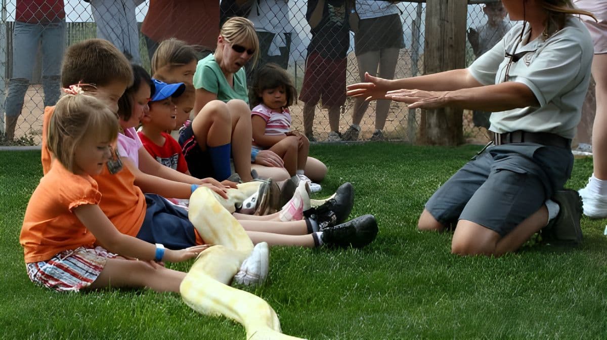 Out of Africa Wildlife Park: Toegangsticket